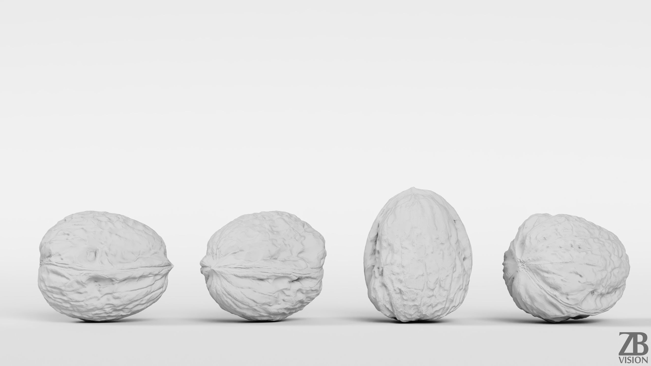 Walnut 3D model_3