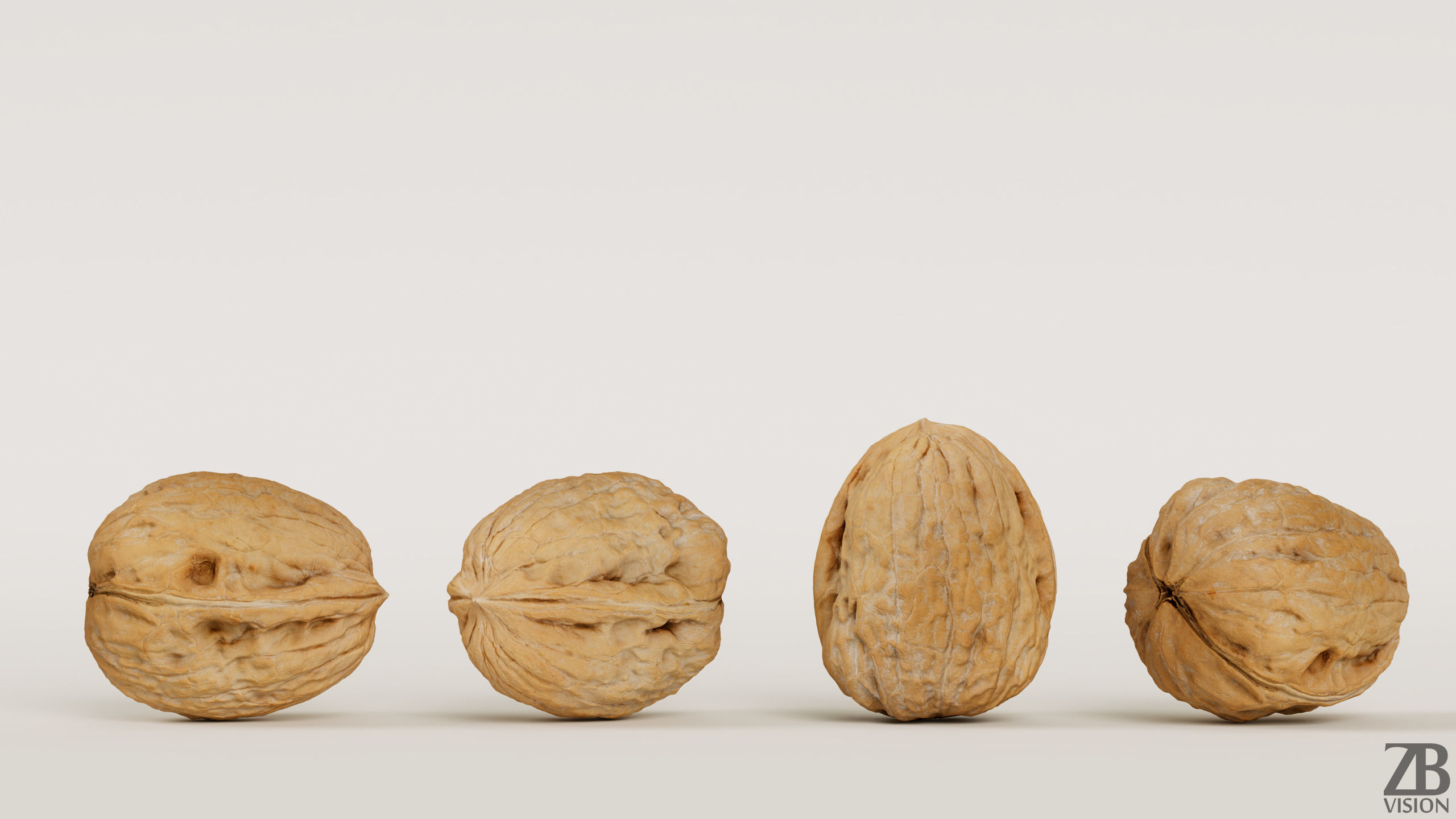 Walnut 3D model_2