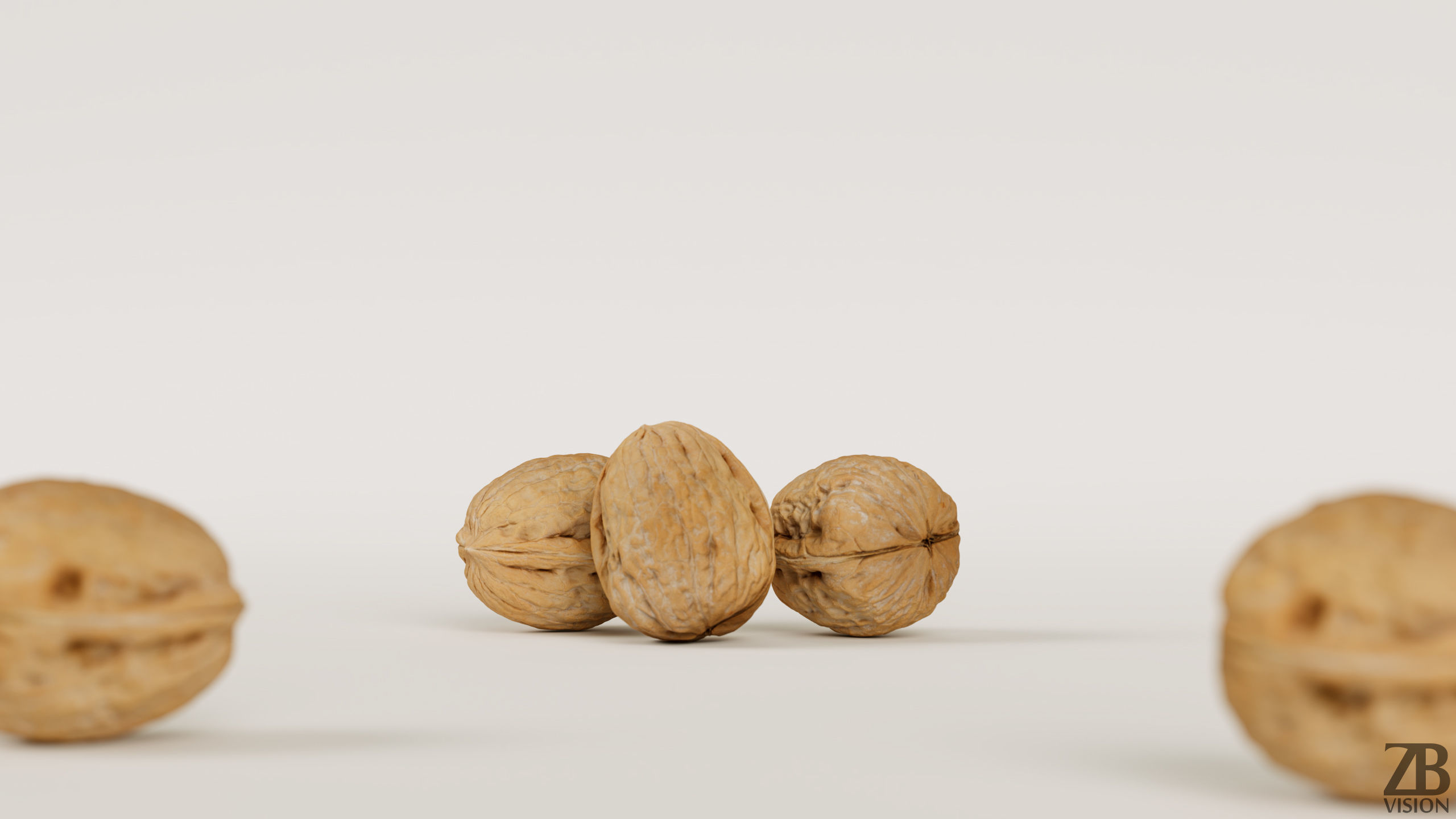 Walnut 3D model_1