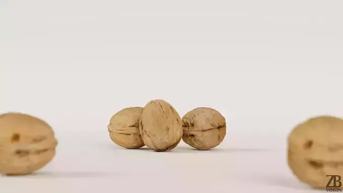Walnut 3D model