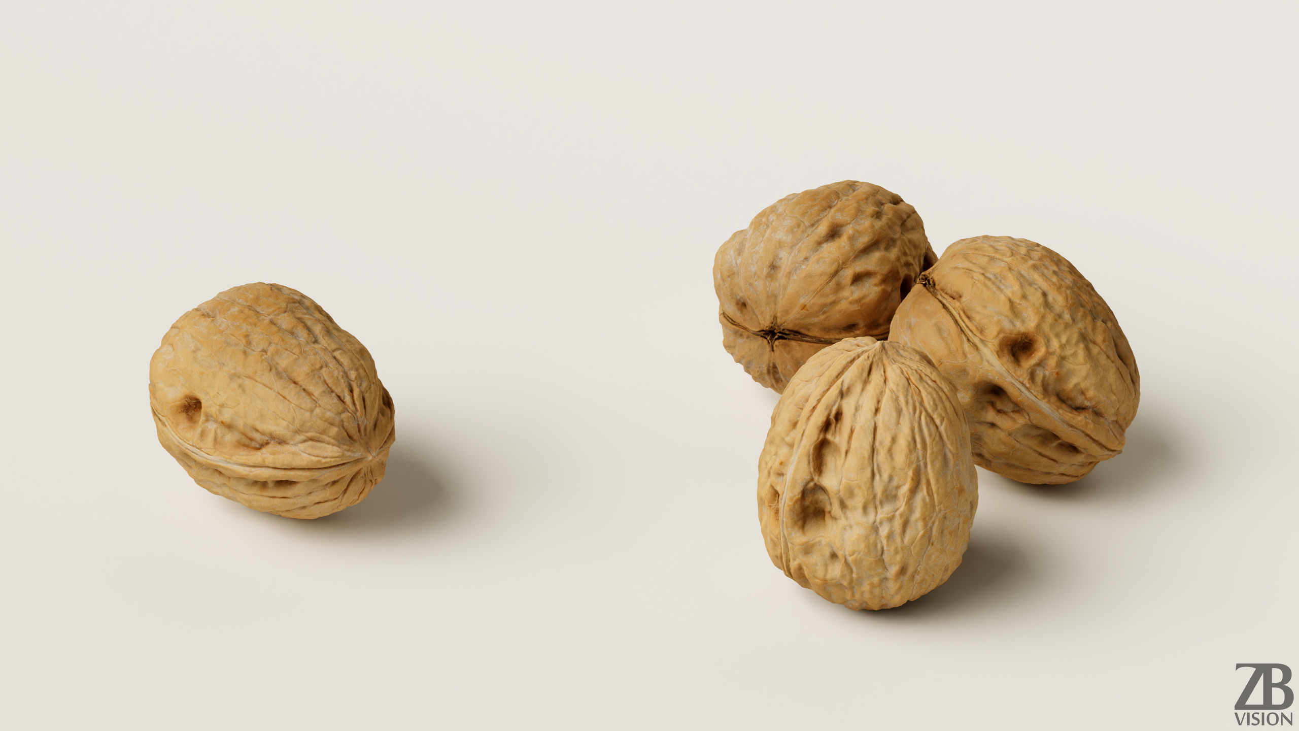 Walnut 3D model_9