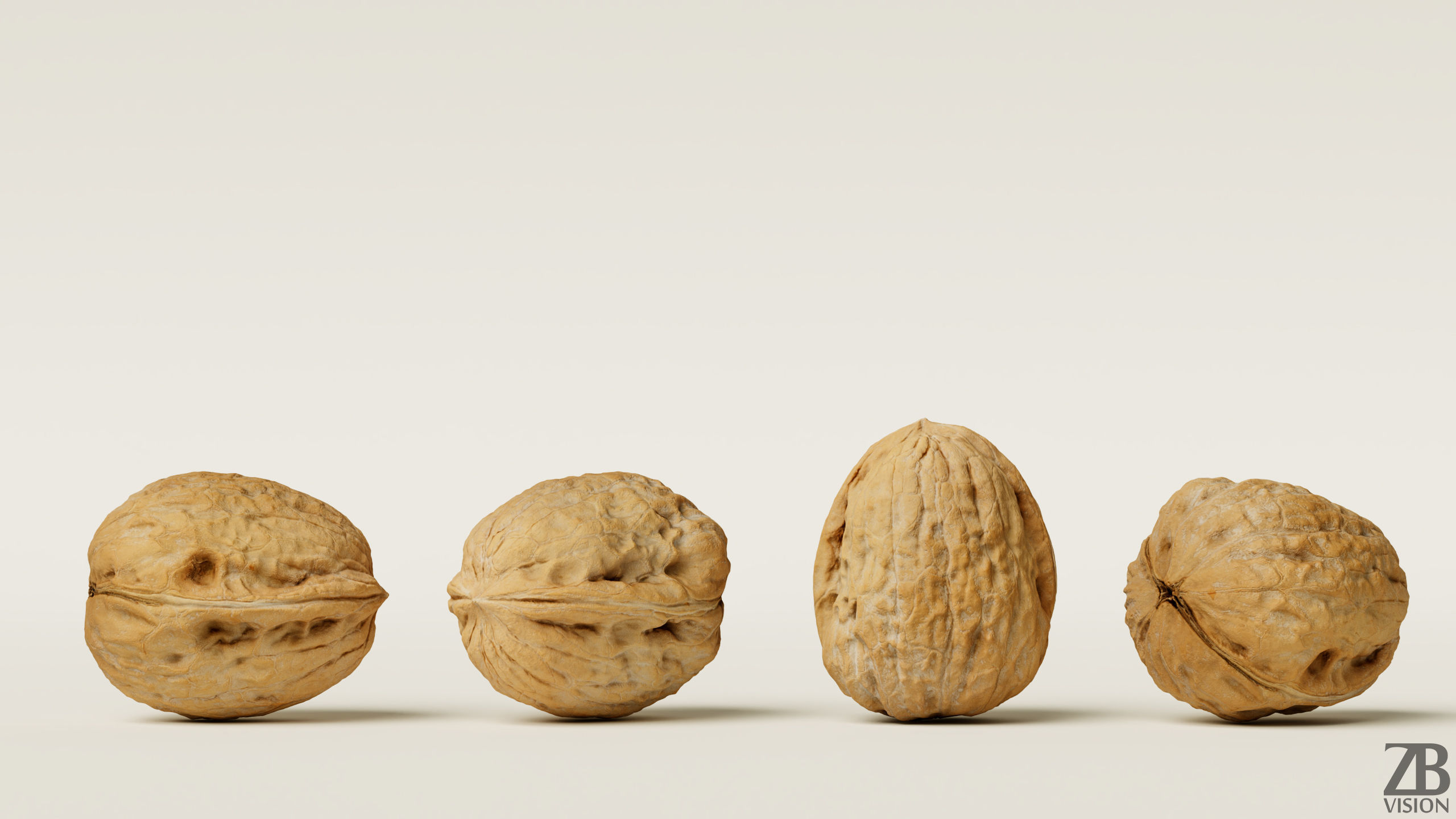 Walnut 3D model_6