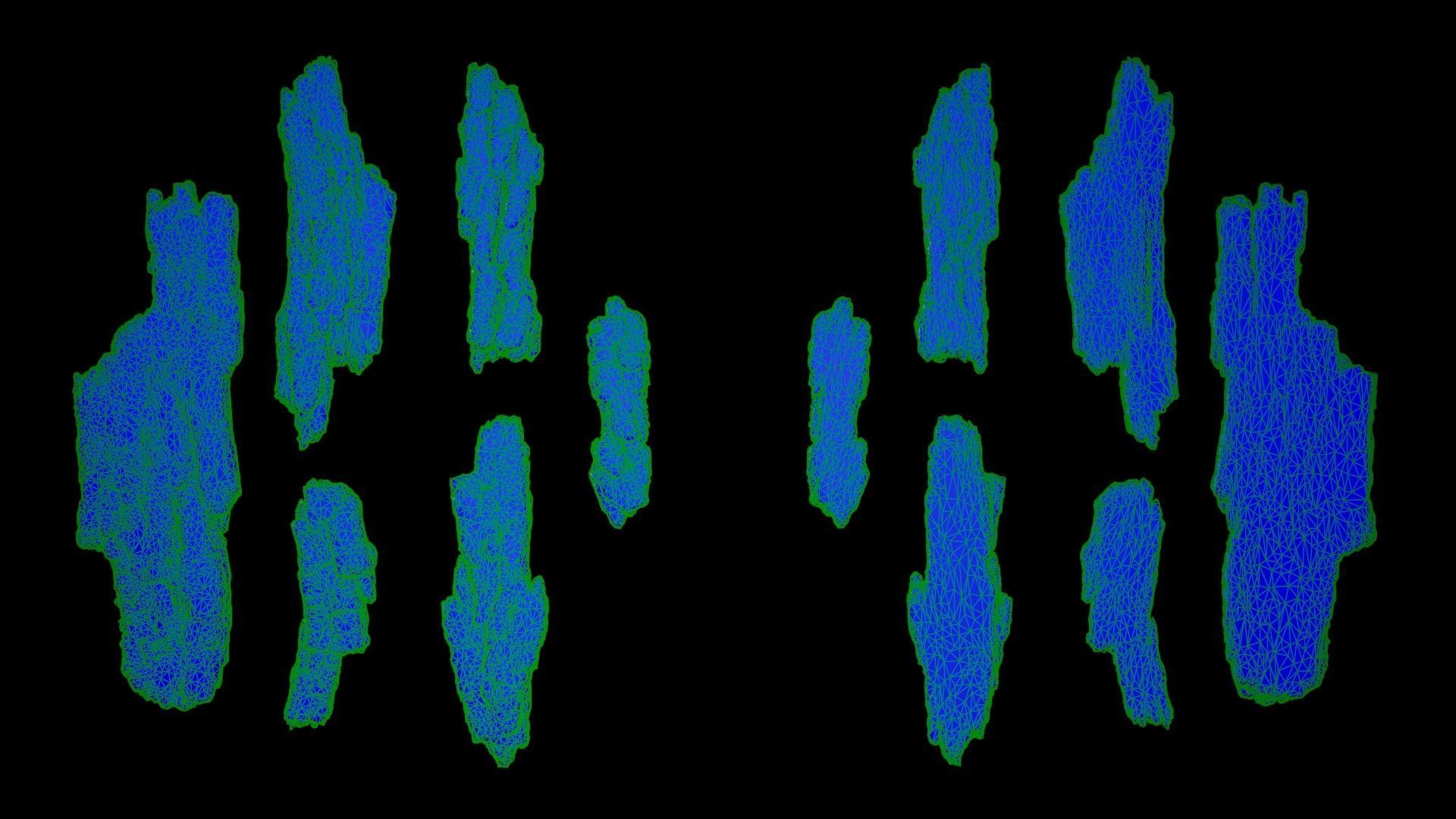 Bark Debris 4K Photoscanned Low-poly 3D model_6