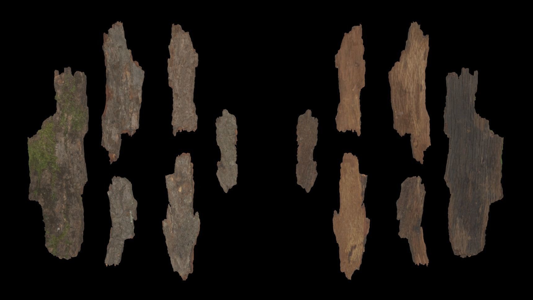 Bark Debris 4K Photoscanned Low-poly 3D model_15