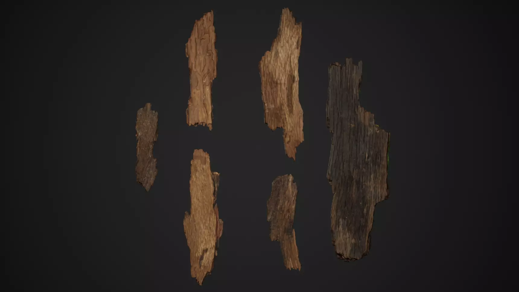 Bark Debris 4K Photoscanned Low-poly 3D model_0