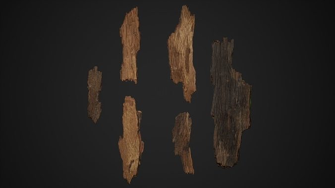Bark Debris 4K Photoscanned  Low-poly 3D model
