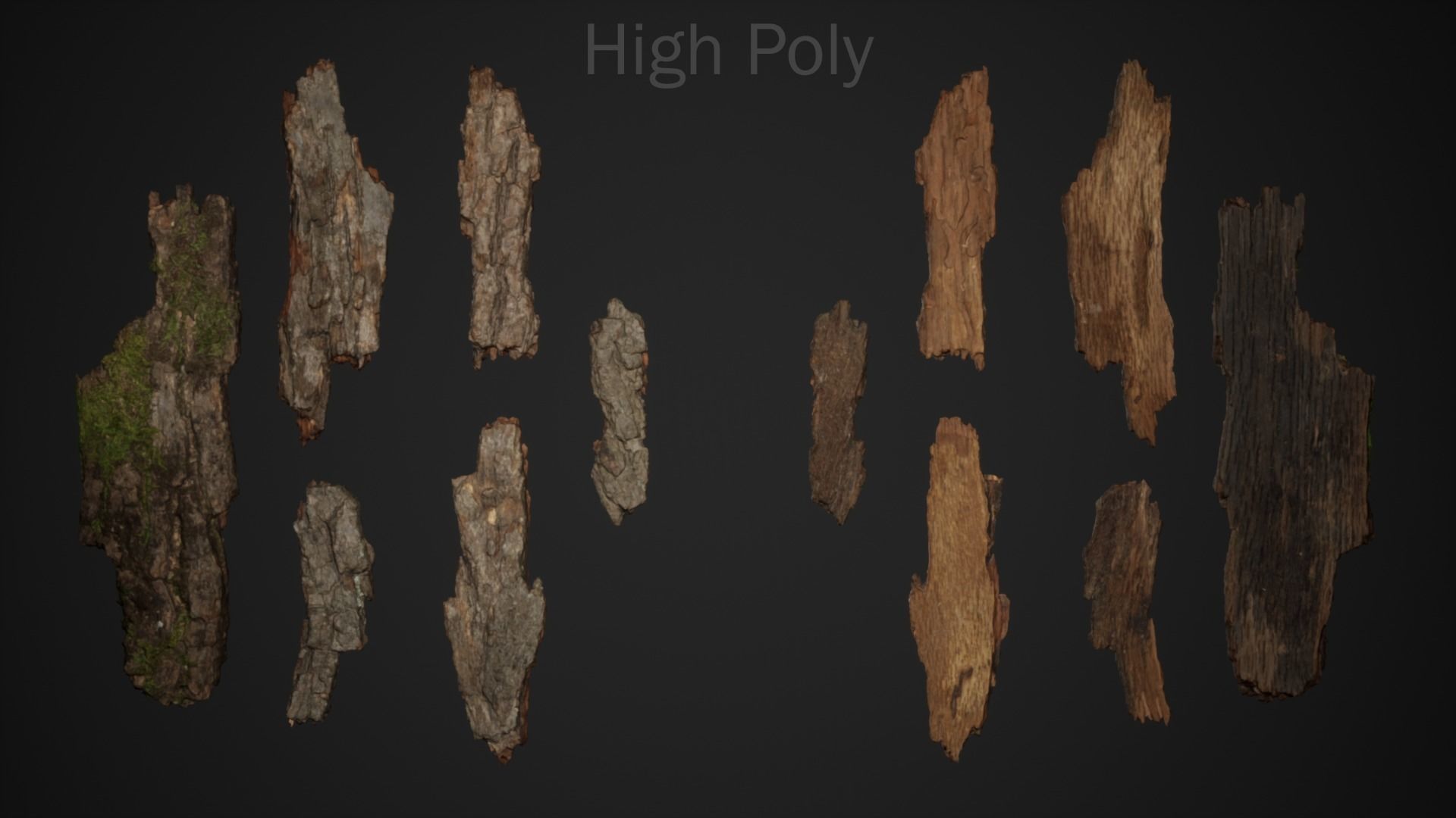 Bark Debris 4K Photoscanned Low-poly 3D model_1