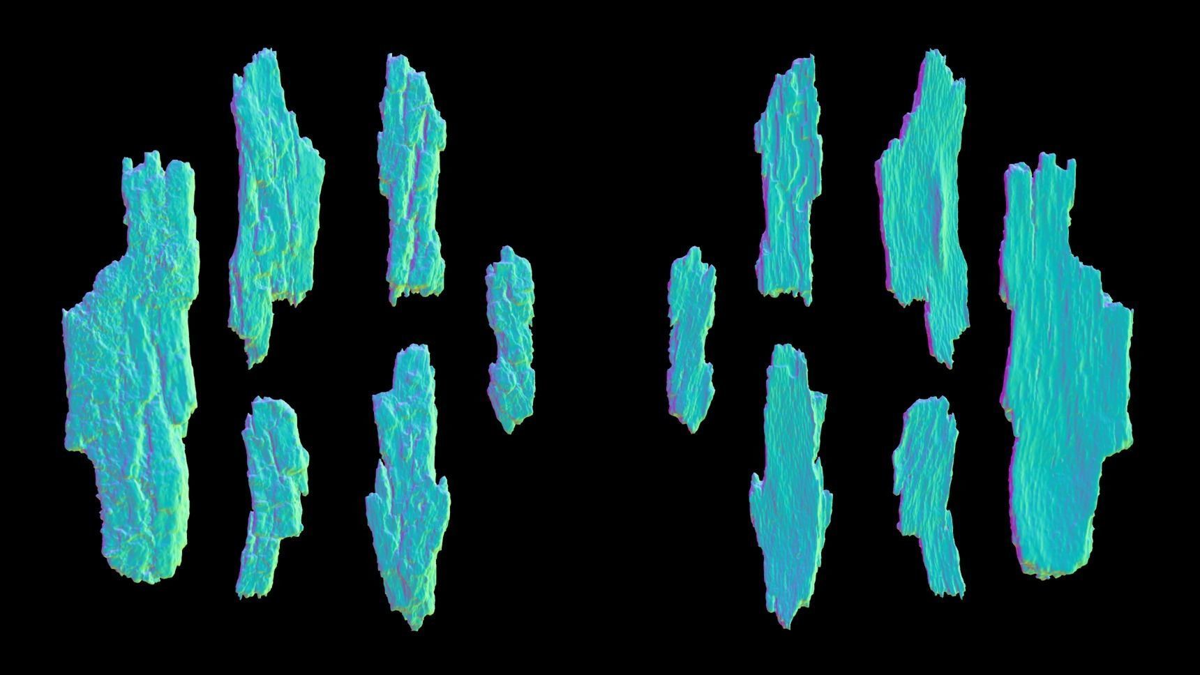 Bark Debris 4K Photoscanned Low-poly 3D model_17