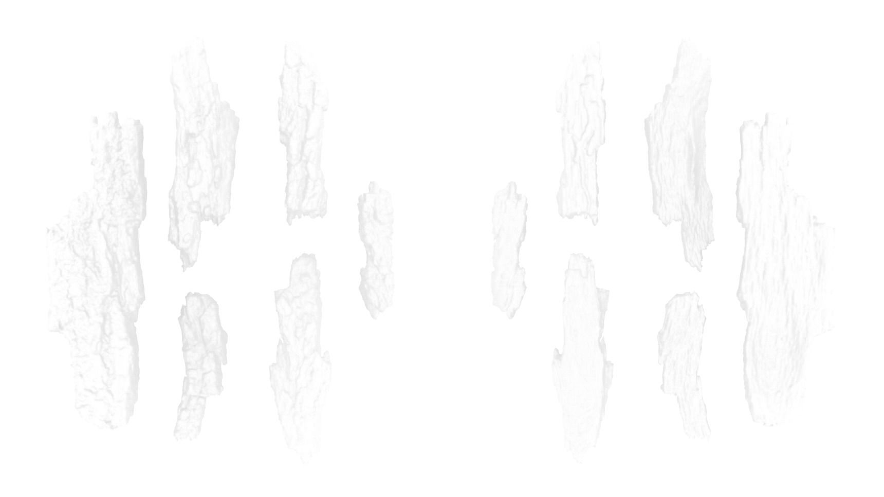 Bark Debris 4K Photoscanned Low-poly 3D model_18