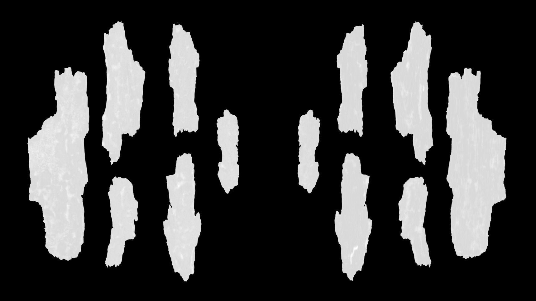 Bark Debris 4K Photoscanned Low-poly 3D model_16