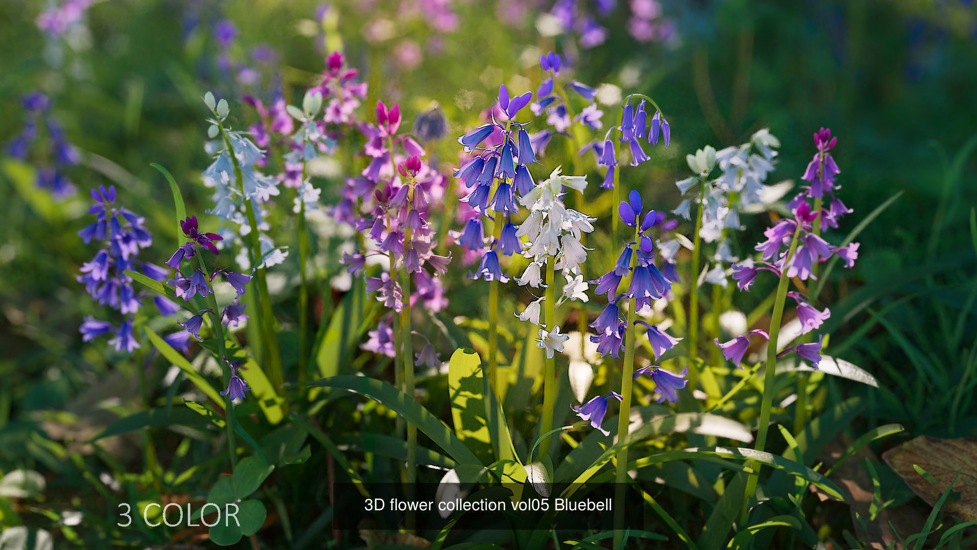 3D garden plants collection vol01 _5