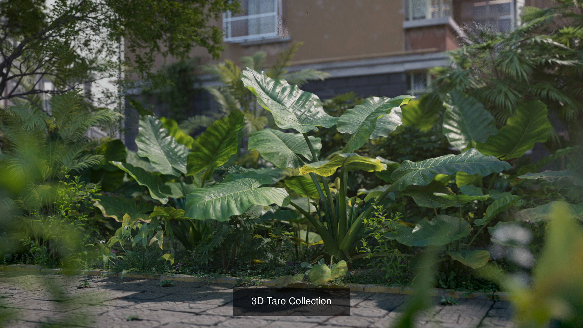 3D garden plants collection vol01 _7