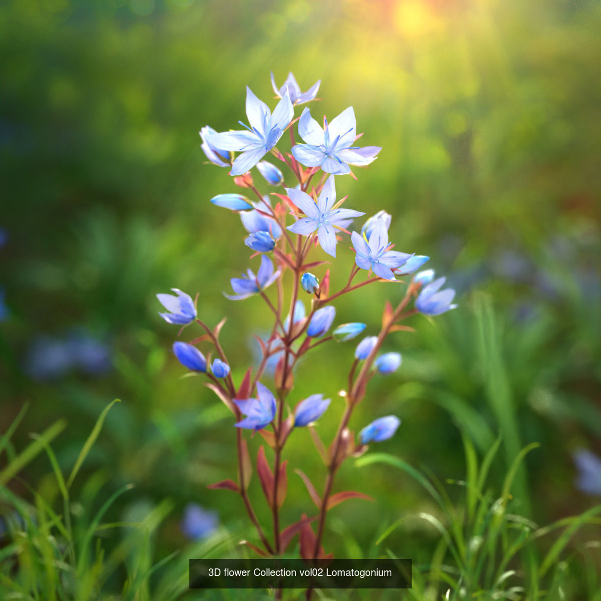 3D garden plants collection vol01 _2