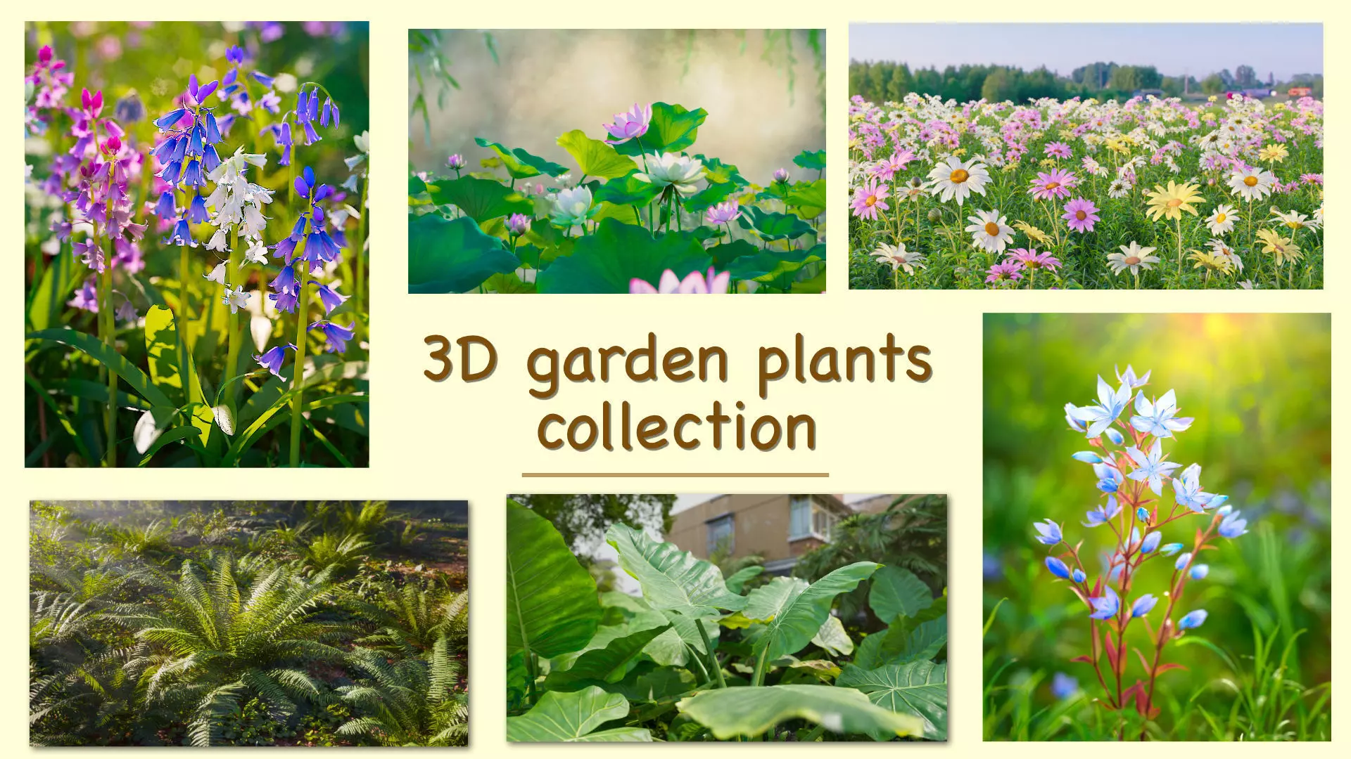 3D garden plants collection vol01 _0