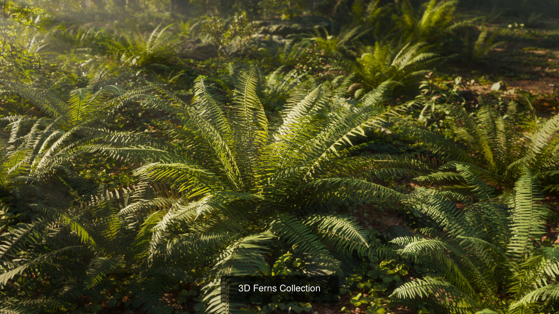 3D garden plants collection vol01 _6