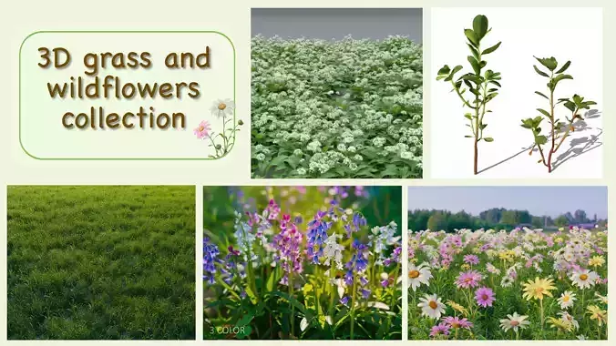 Grass and wildflowers Collection vol01 