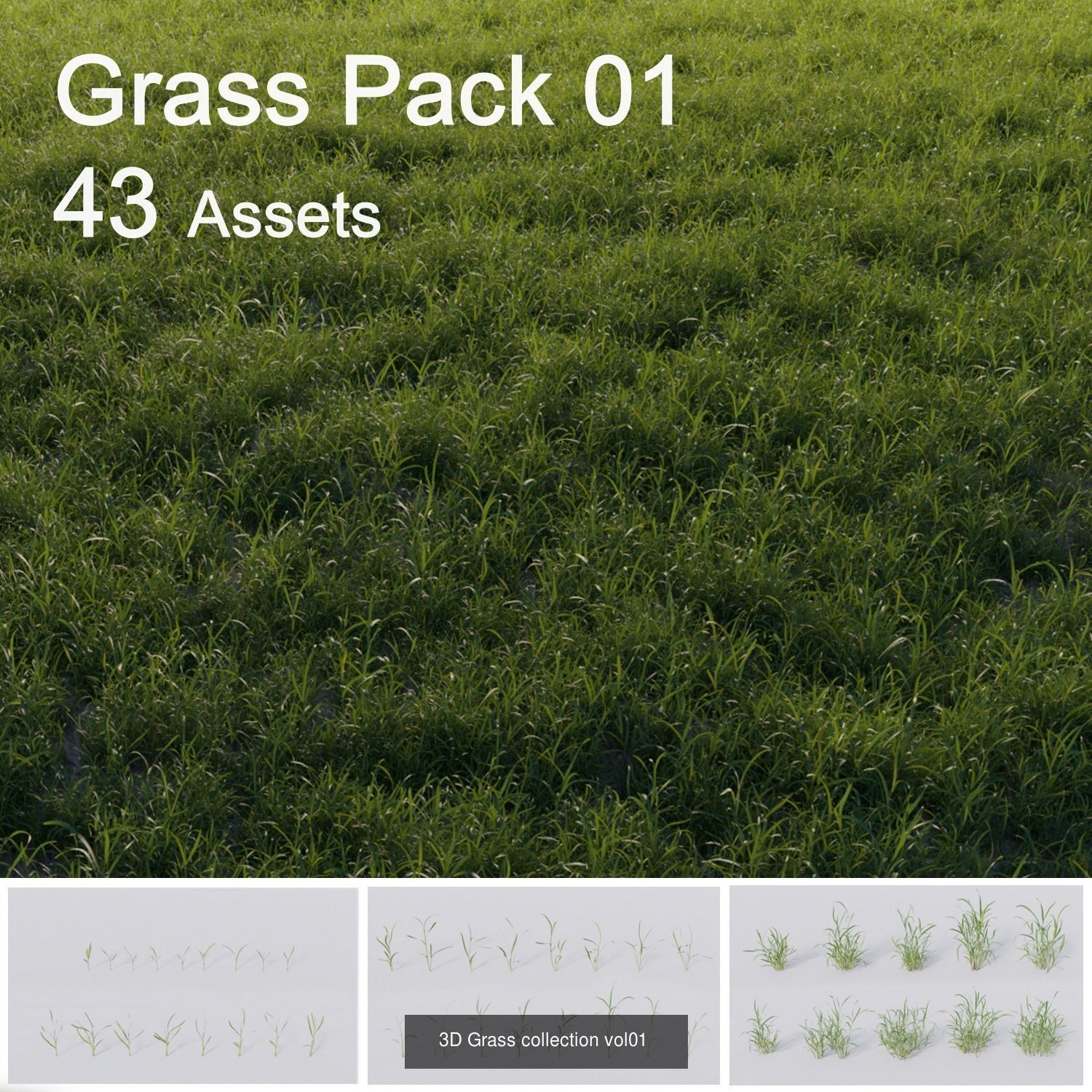 Grass and wildflowers Collection vol01 _5