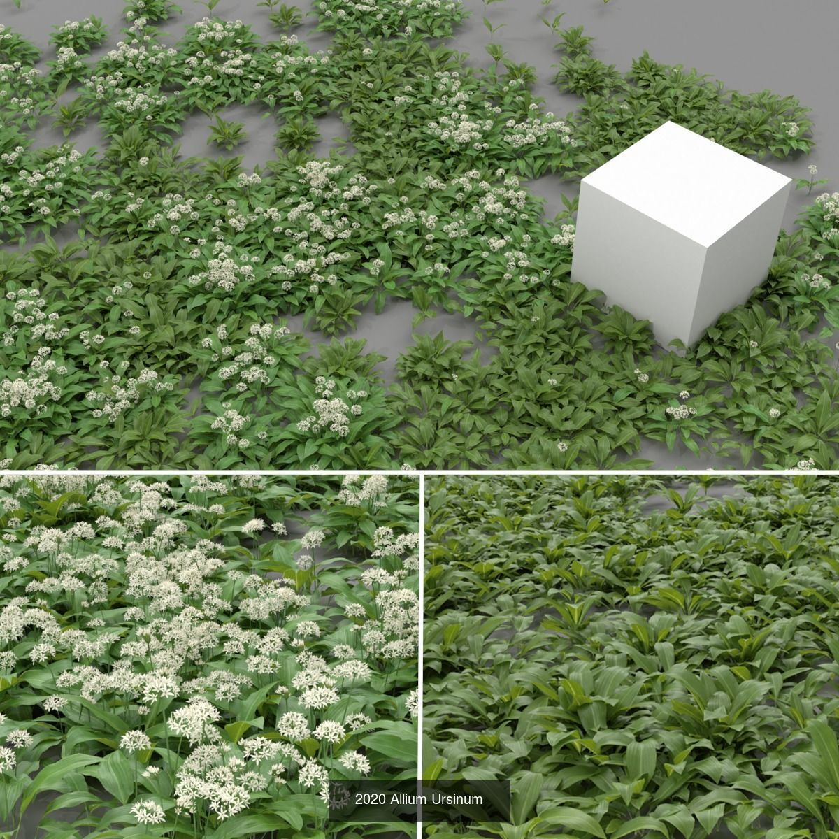 Grass and wildflowers Collection vol01 _4