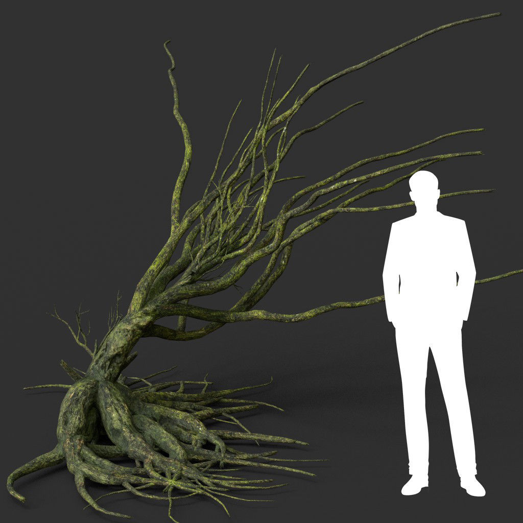 Low poly Mossy Jungle Dead Tree Low-poly 3D model_2