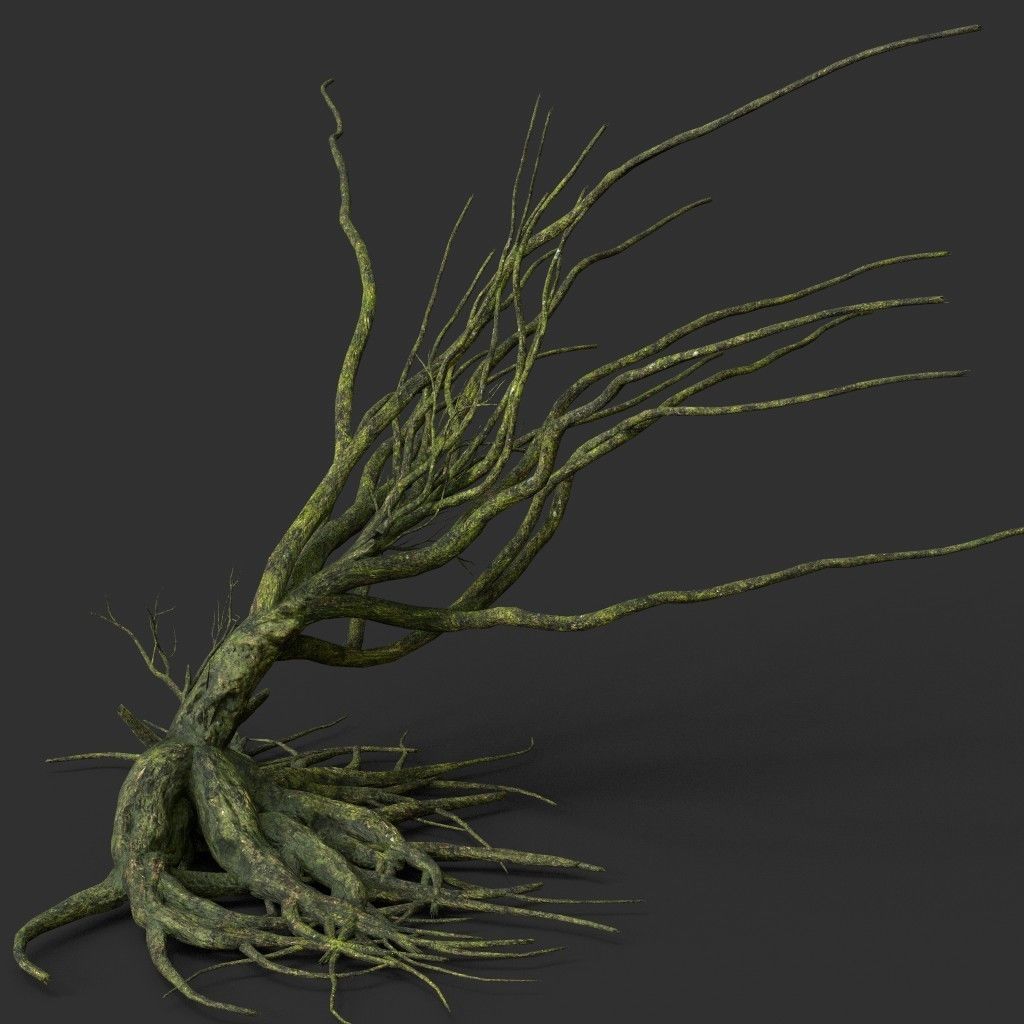 Low poly Mossy Jungle Dead Tree Low-poly 3D model_3
