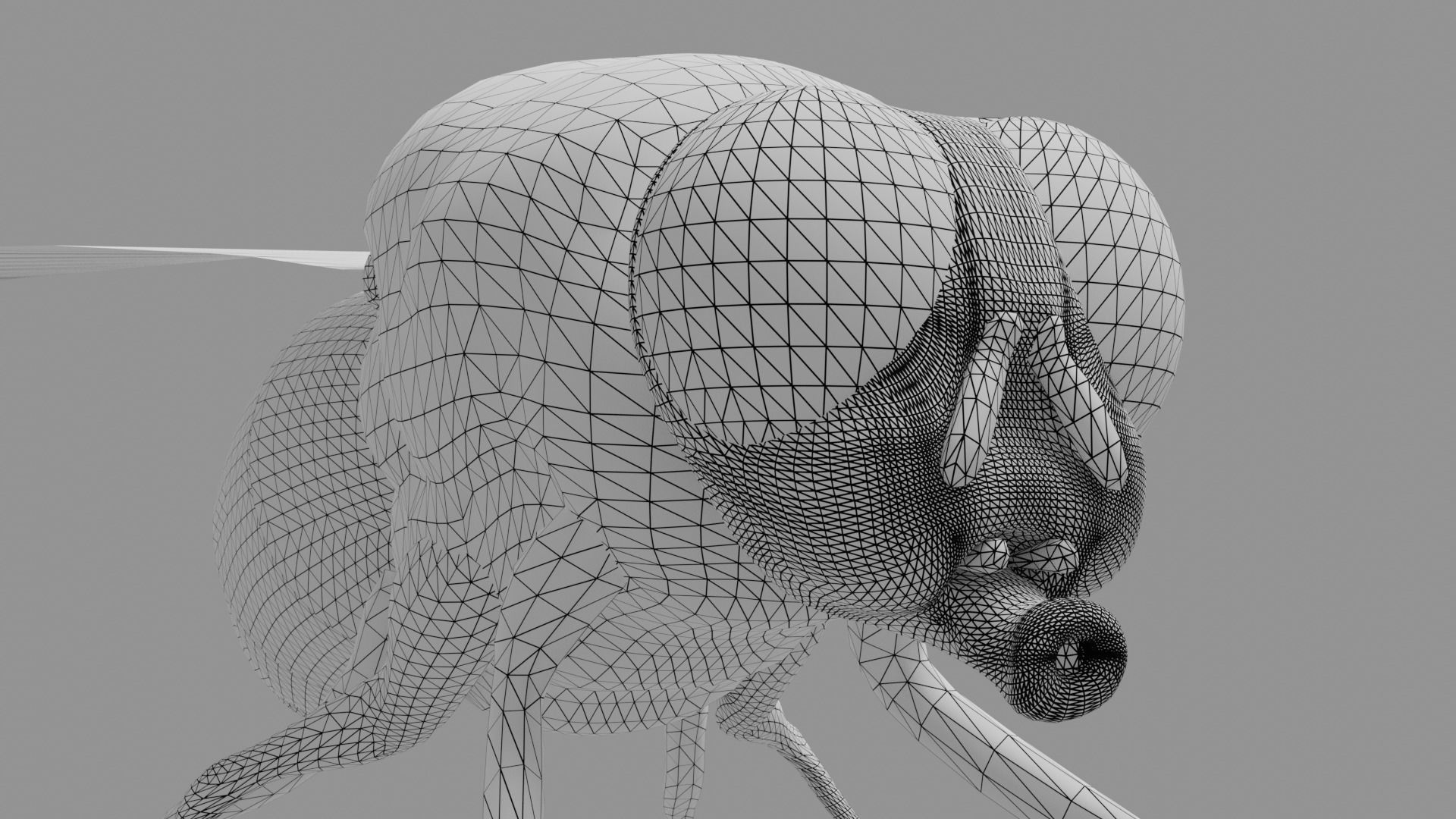 Housefly fly with eyes Low-poly 3D model_12