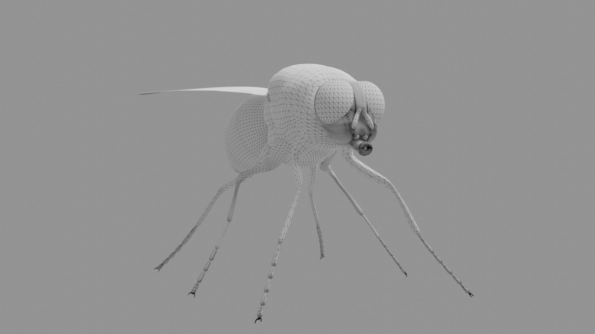 Housefly fly with eyes Low-poly 3D model_10
