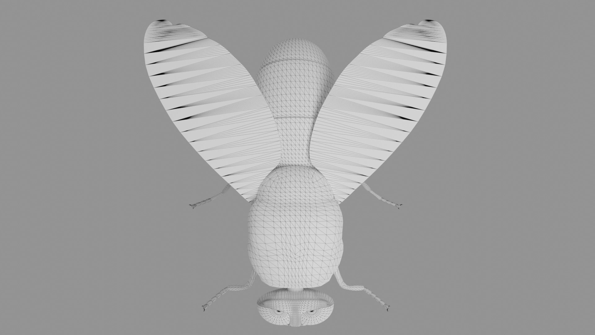 Housefly fly with eyes Low-poly 3D model_13