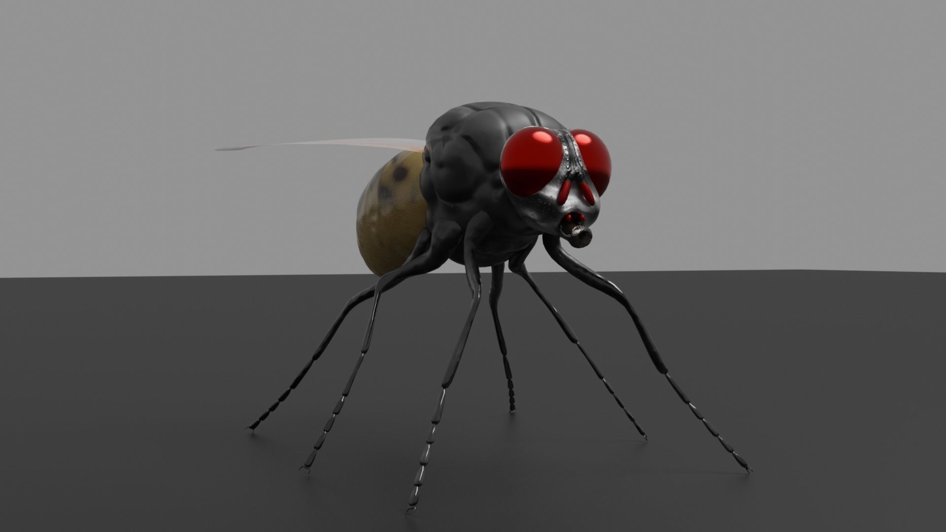 Housefly fly with eyes Low-poly 3D model_14