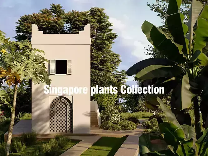 Singapore plants - Include GrowFX and Mesh file  3D model
