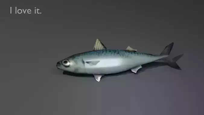 Fish Mackerel seafood