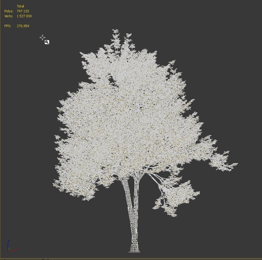 Ash-tree 2 tree 3D model_4