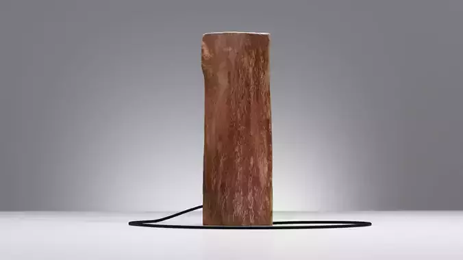 Scanned Lamp Wooden Log with Bulb 