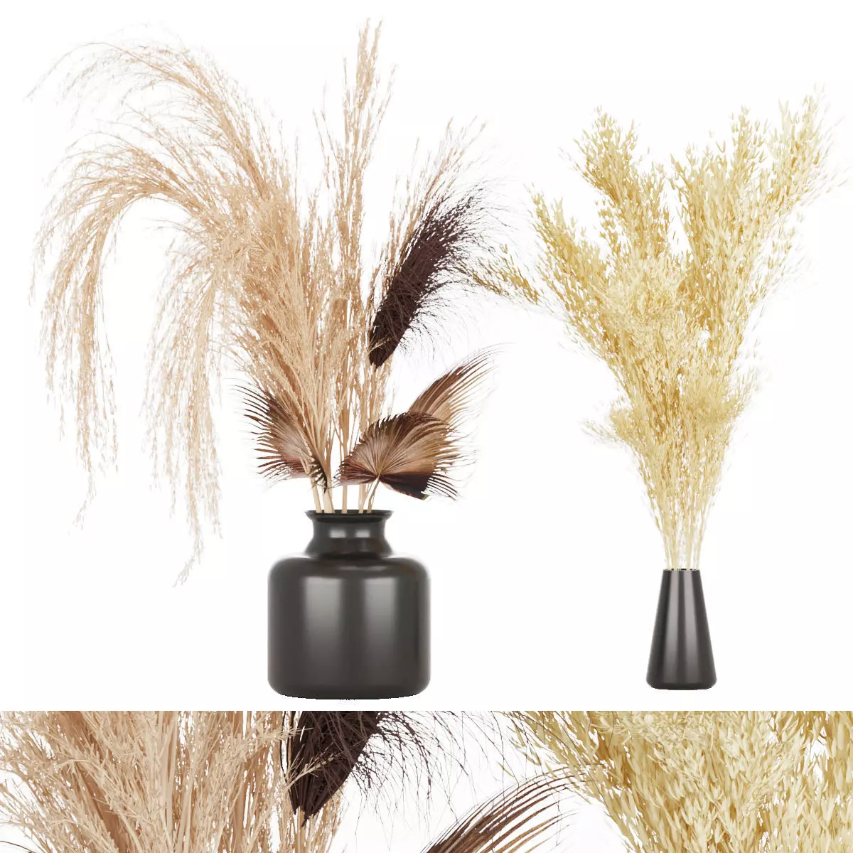 Collection plant vol 7 3D model_0