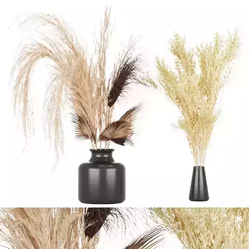 Collection plant vol 7 3D model