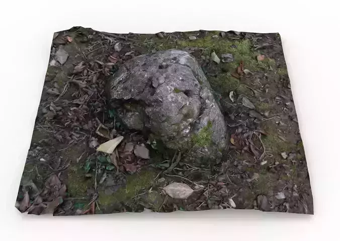 Grassy rock