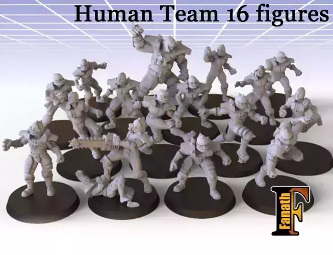 Human team 16