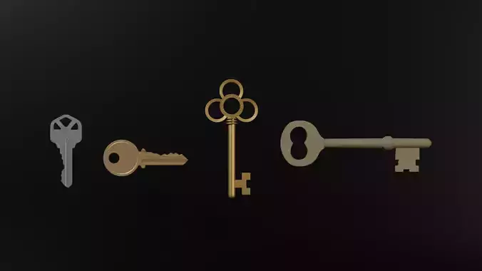 Key Pack 3D model
