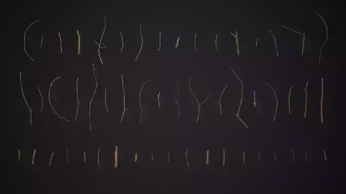 Oak And Tilia Twigs 4K Scanned Low-poly 3D model