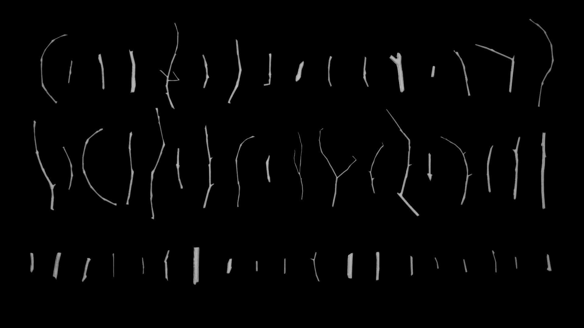 Oak And Tilia Twigs 4K Scanned Low-poly 3D model_15