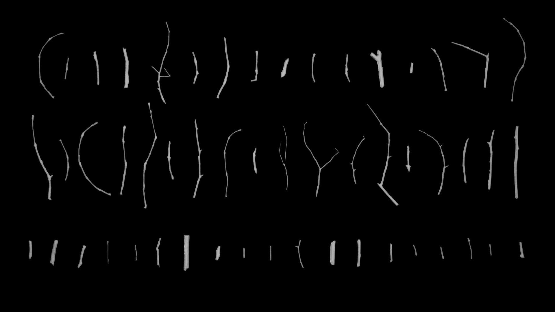 Oak And Tilia Twigs 4K Scanned Low-poly 3D model_9