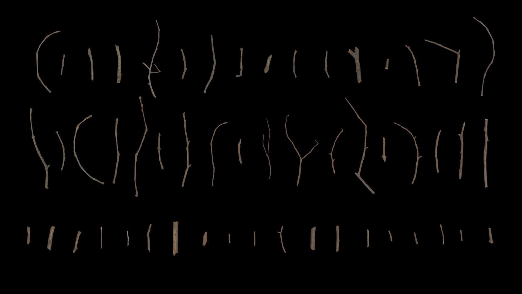 Oak And Tilia Twigs 4K Scanned Low-poly 3D model_13