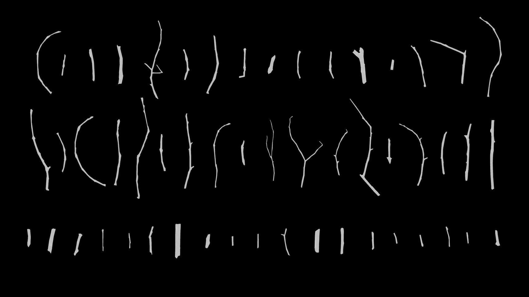 Oak And Tilia Twigs 4K Scanned Low-poly 3D model_16