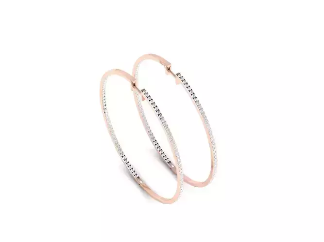 Women earrings 3dm render detail