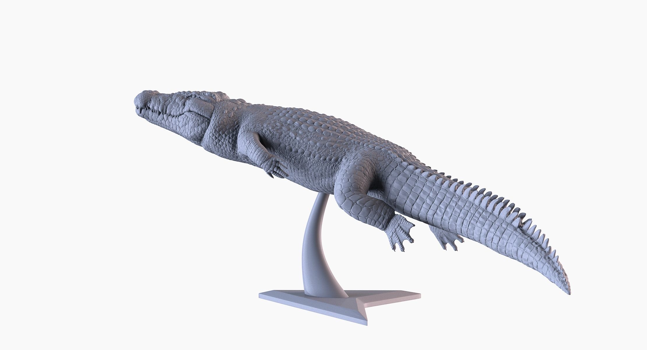 Crocodile 3D Printing 3D print model_8