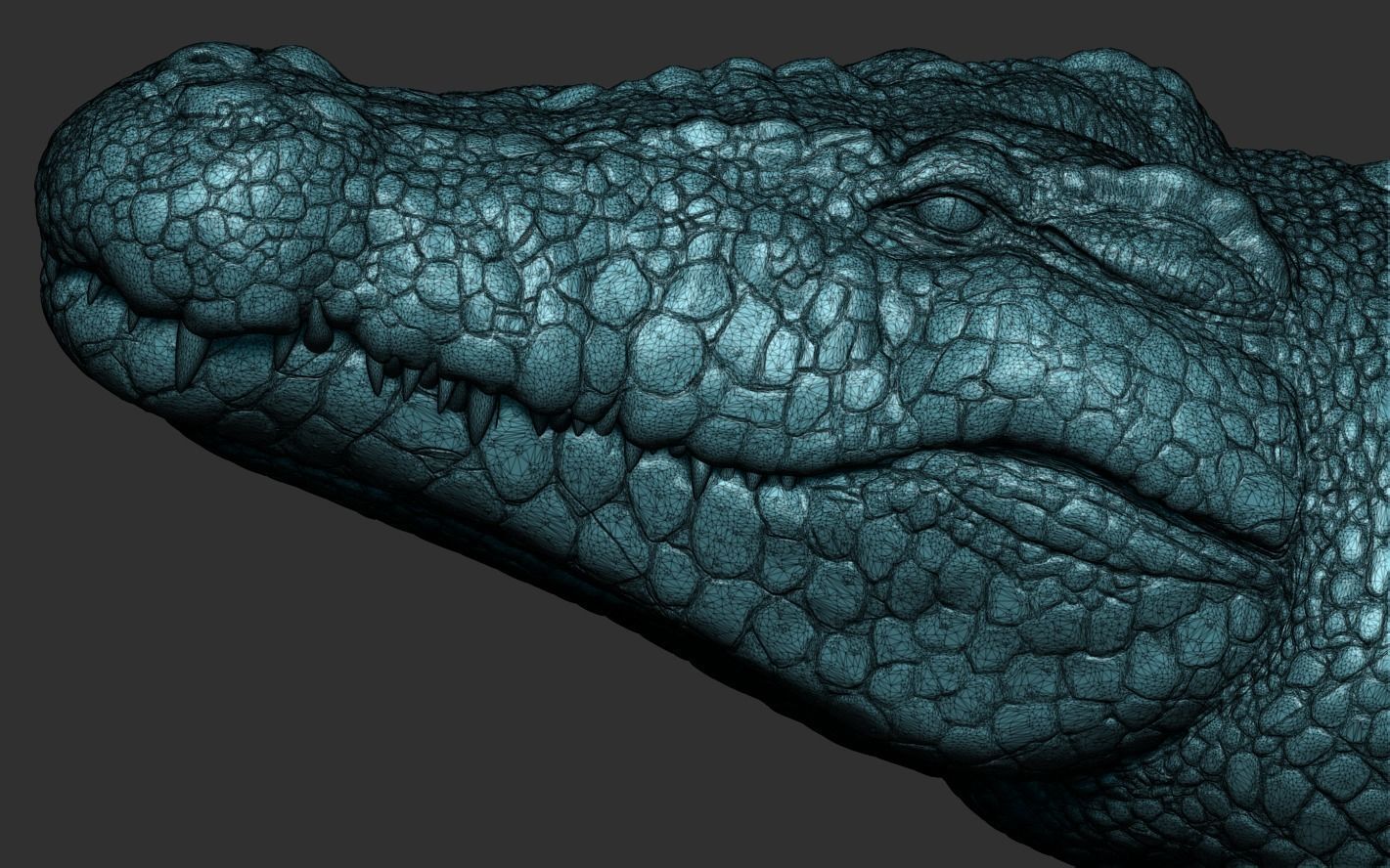 Crocodile 3D Printing 3D print model_17