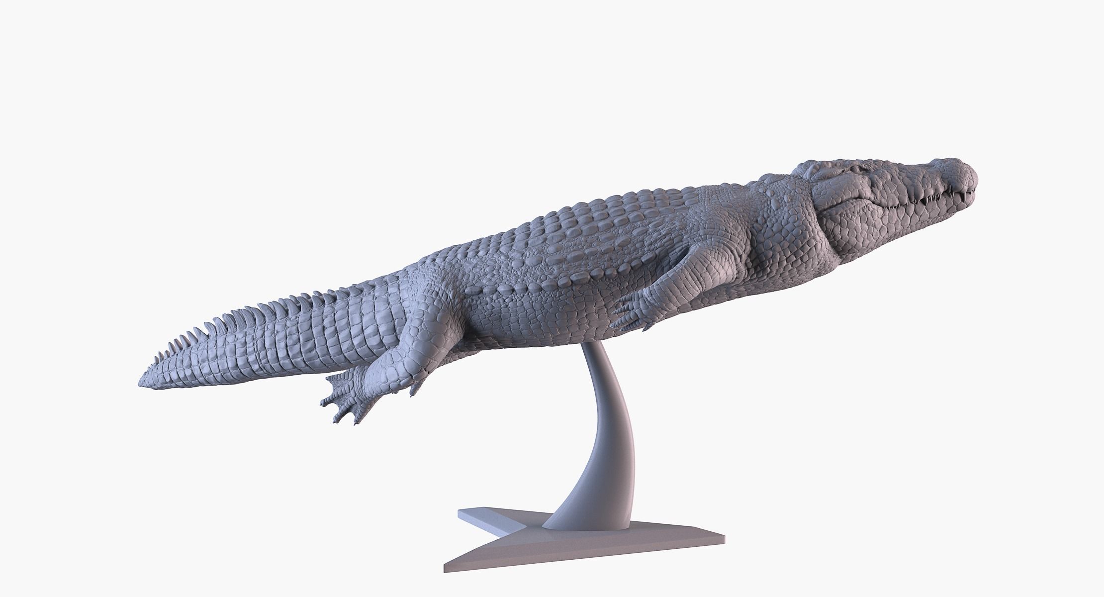 Crocodile 3D Printing 3D print model_5