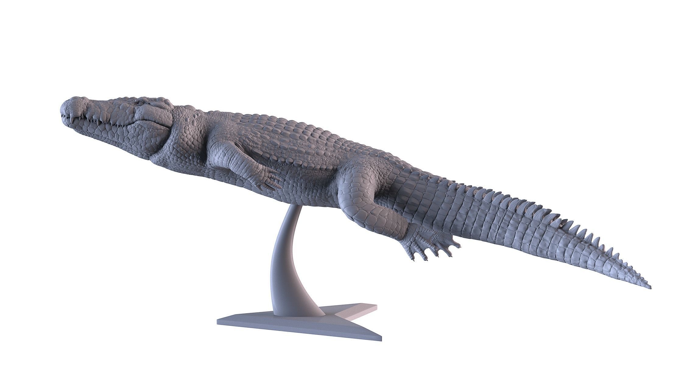 Crocodile 3D Printing 3D print model_1