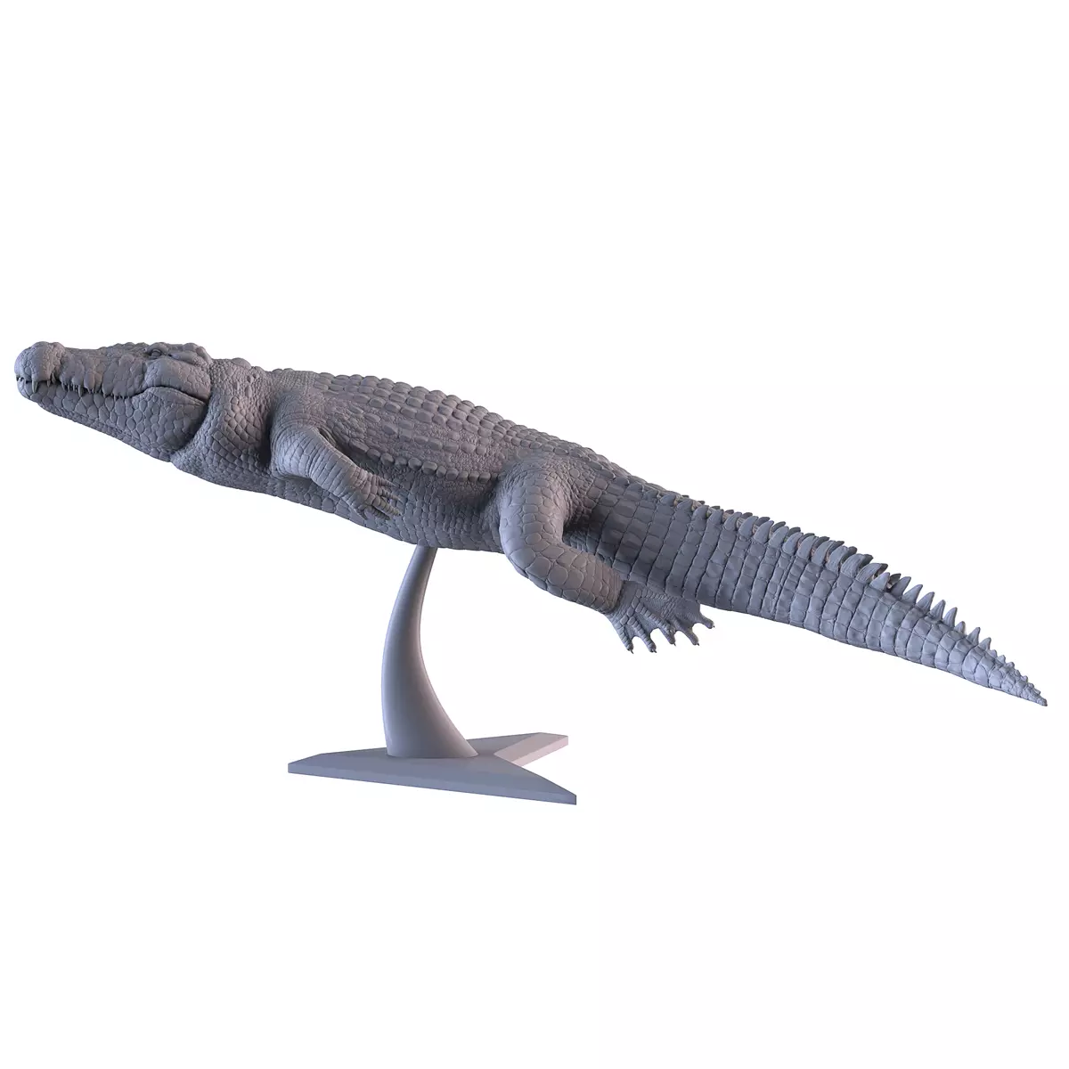 Crocodile 3D Printing 3D print model_0