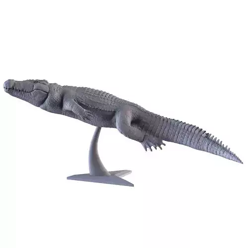 Crocodile 3D Printing  3D print model