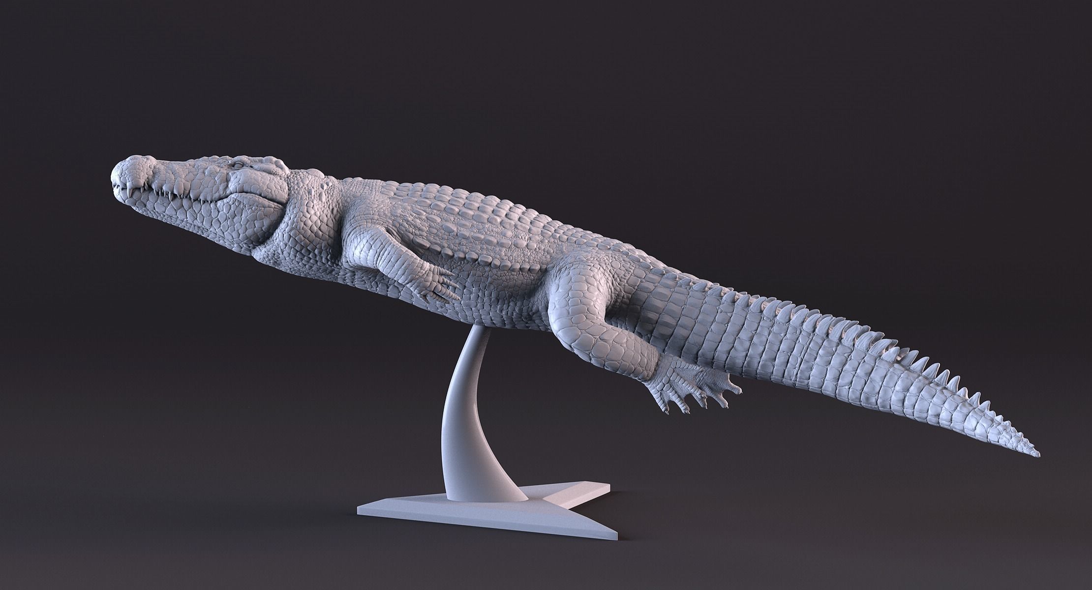 Crocodile 3D Printing 3D print model_12